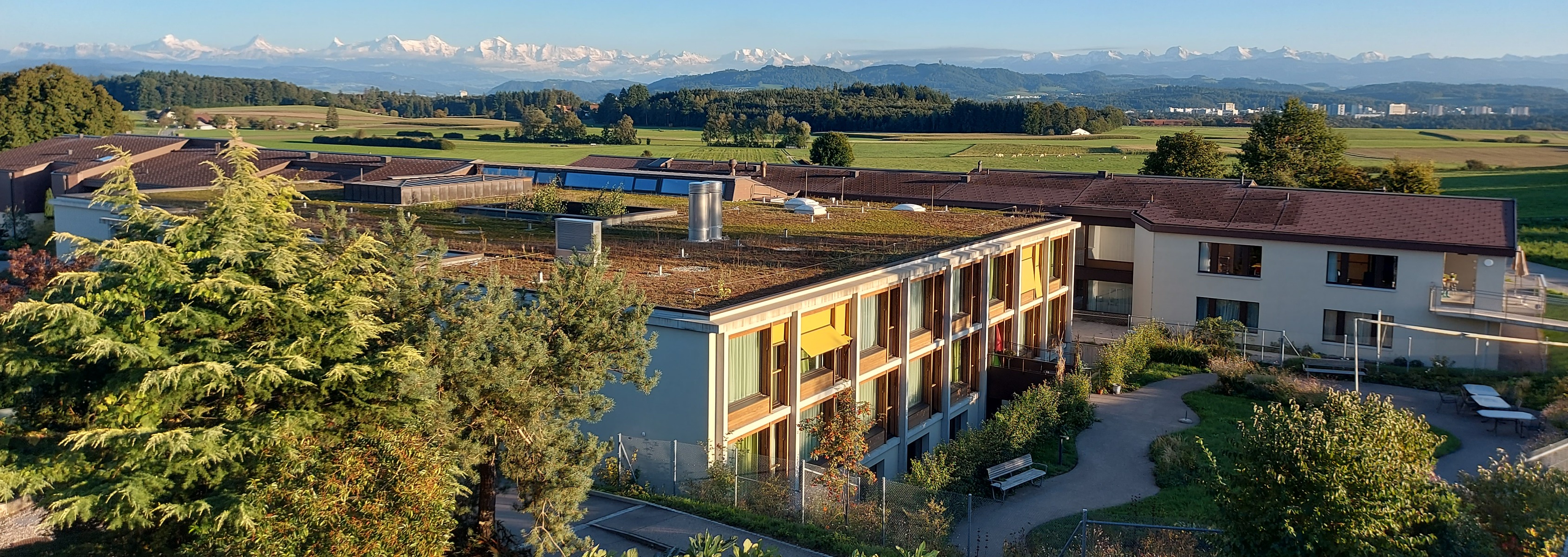Aussicht sommer von oben